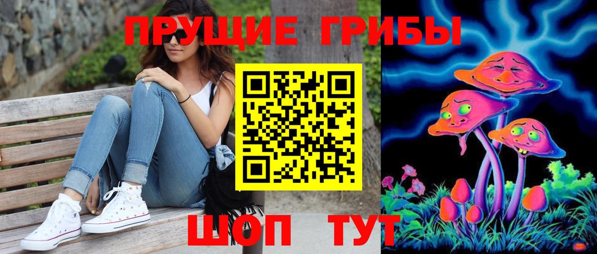 Галлюциногенные грибы Psilocybe Отрадный